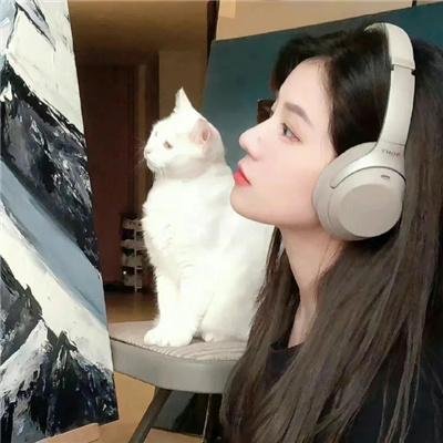 完美妻子的完美复仇计划